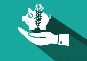 國(guó)際間接投資的特點(diǎn)